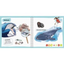 Ravensburger Tiptoi Pocket Wissen: Wale Und Delfine, Lernbuch -Ravensburger Verkäufe Ravensburger tiptoi Pocket Wissen Wale und Delfine Lernbuch@@1607227 2